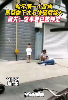 哈尔滨一小区高坠大石块砸伤路人