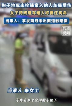 武汉一女子因宠物狗窜入车底受伤后持砖砸车砸人