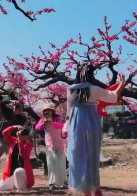 广东连平万亩桃花盛开吸引各地游客打卡