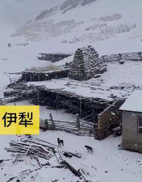 2020年全国多地出现降雪 2分钟短视频欣赏雪中美景
