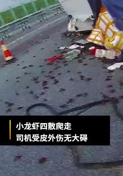 司机疲劳驾驶货车高速侧翻 车上4吨小龙虾散落一地