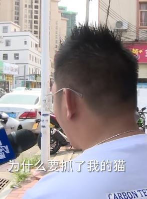 男子将他人养的猫煮熟后喂养自家猫