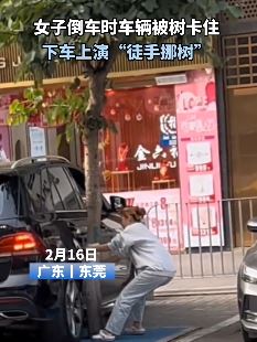 东莞一女子路边停车时与树较劲 技术不行力量来凑