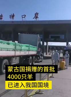 蒙古国捐赠首批4000只活羊已入境