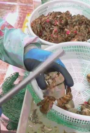 很多人都没吃过这个东西 估计能说出名字的人都很少！