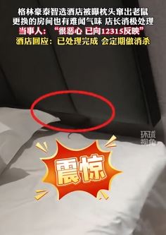 网友曝格林豪泰智选酒店枕头窜出老鼠 店长消极处理