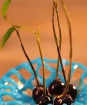 想让你家的盆栽与众不同？首先你得学会这几个种植小技巧！