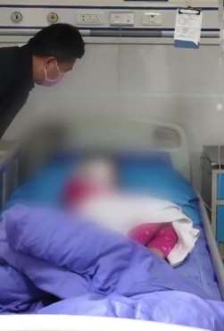 四川一小女孩被阿拉斯加犬咬伤 该犬属禁养犬