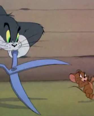 猫和老鼠：杰瑞跟错队伍被汤姆追，不料汤姆意外剪掉鸡羽毛