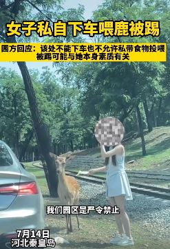 动物园一女子私自下车喂鹿被踢 园方：可能和她本身素质有关！