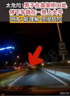 男子高架桥口停车蹲大号，果然是个人才！