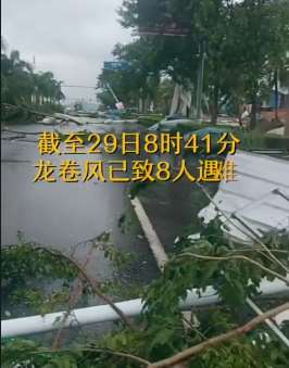 海南儋州突发三级龙卷风  树被刮倒街道凌乱不堪