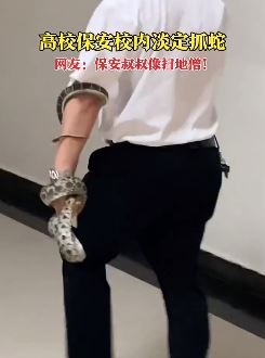 重庆一高校保安校园内徒手抓蛇
