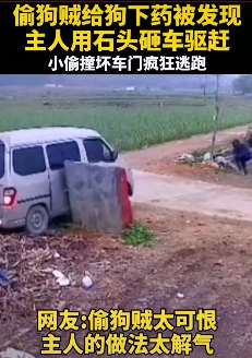 偷狗贼被狗主人发现后驱车疯狂逃跑