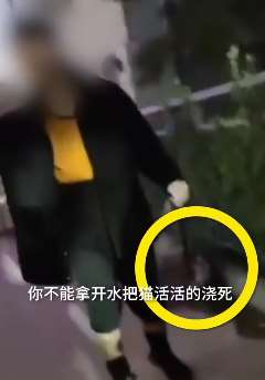 太原被开水浇烫孕猫已死亡，虐猫男子家属发声道歉