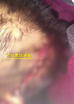 甘肃一村民摆弄射钉枪走火致妻子身亡