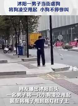 沭阳一男子当街虐狗 小狗不停惨叫