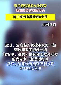 男子酒后猥亵女友同事被判刑8个月