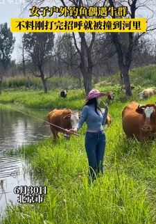 女子户外钓鱼被牛撞到河里