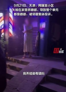 天津一女子家里养蟑螂被邻居集体投诉