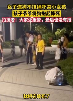 宠物狗吓哭小孩被爷爷抱起摔死