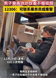 网曝男子高铁上外放看不雅视频 12306提醒遇到可联系乘警