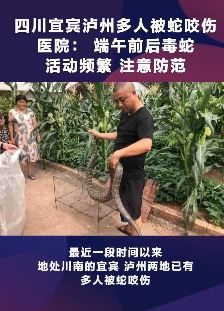 四川泸州多人被蛇咬伤