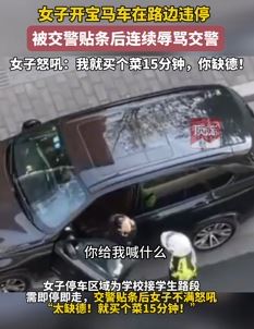 西安一女子开宝马路边违停 被贴条后辱骂交警