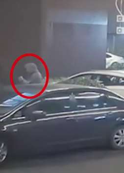 上海一宠物店16只名贵宠物猫被偷 嫌疑人竟是店里员工