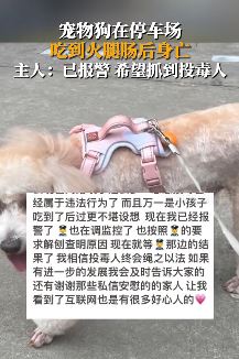 宠物狗停车场吃火腿肠后身亡 主人报警抓投毒人