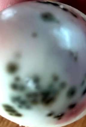 湖北一高中饭菜中现虫子和发霉鸡蛋 校长被免