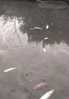 贵州一村庄饮水遭污染，村民怀疑石材厂所为