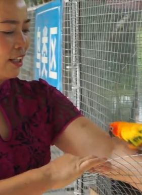 四川夹江一大姐7年义务救助上千只野生动物