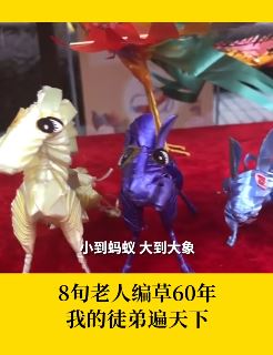 广州一老人编草60年 小到蚂蚁大到大象都能编