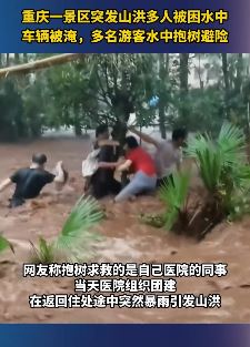 重庆一景区突发山洪 游客抱树避险
