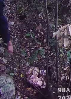 老人上山采菌发现"腐尸"，民警到场发现竟是个充气娃娃