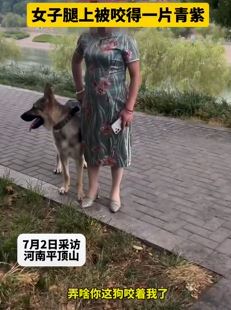 女子称被杰克狼扑倒咬伤 狗主人拒不承认