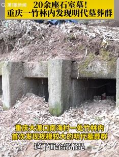 重庆一竹林发现明代墓葬群 面积约有上千个平方