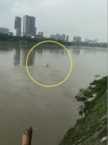 男孩不慎落河，岸边散步市民果断跳河施救