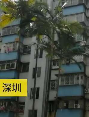 深圳一女子28年前买房后未住 陌生人撬锁入住后不搬出
