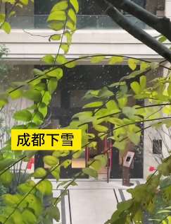 成都迎2021年首场雪，市民纷纷晒雪景