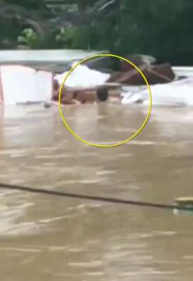 广州一热心货车司机救落水行人遇难