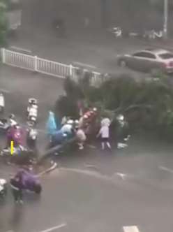 大树被风刮倒砸中外卖员 热心市民雨中抬树救人
