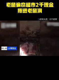 老鼠"偷窃"超市2千现金拖进老鼠洞