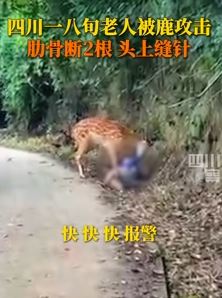 四川资中一8旬老人被鹿攻击受伤
