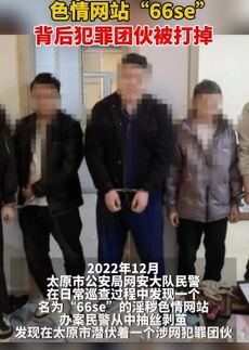 淫秽色情网站66se背后犯罪团伙被警方打掉