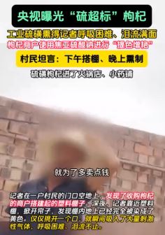 央视曝光“硫超标”枸杞 记者现场被熏的泪流不止