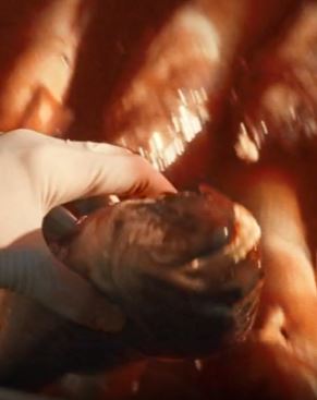 电影《致命报应》解说：史诗级惊悚片，一口气看完！