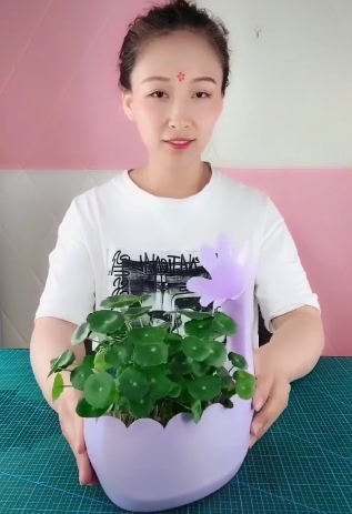 生活小妙招:洗衣液桶变身花盆,很漂亮很实用!