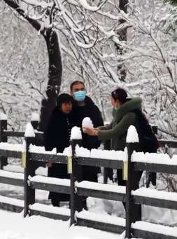 雪中云台山美如画卷，梅花桃花更是娇艳欲滴美的窒息